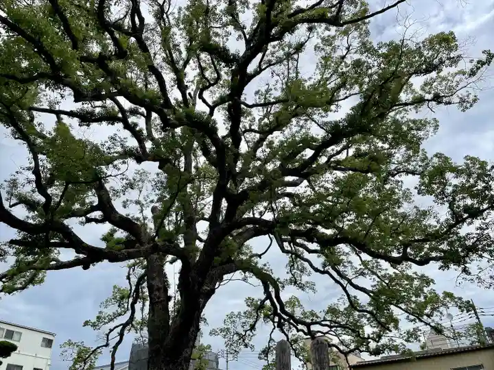大雄寺(東京都)