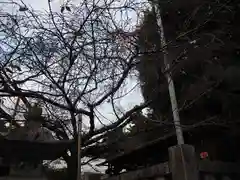 新町御嶽神社(東京都)