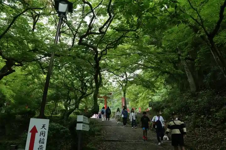 天開稲荷社の自然