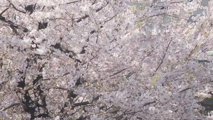 津観音(三重県)