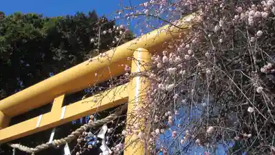 水海道天満宮(茨城県)