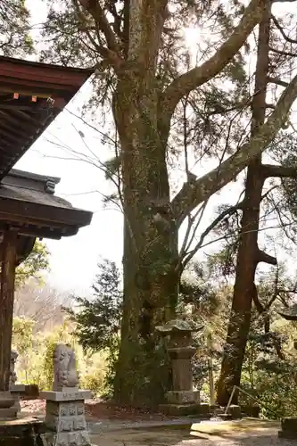 熊野神社(宮崎県)