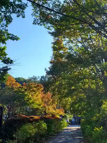 陽林寺(福島県)