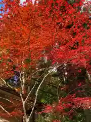 貴船神社の自然