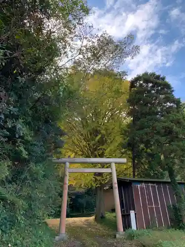 松尾神社の鳥居