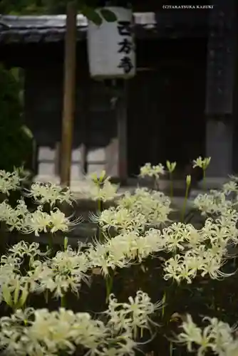 横浜　西方寺(神奈川県)
