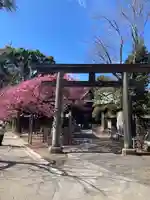 荏原神社の鳥居