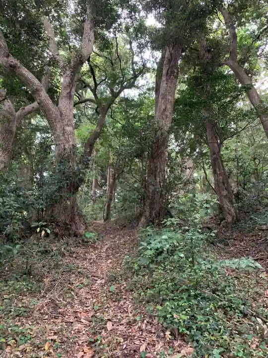 惶根神社の周辺