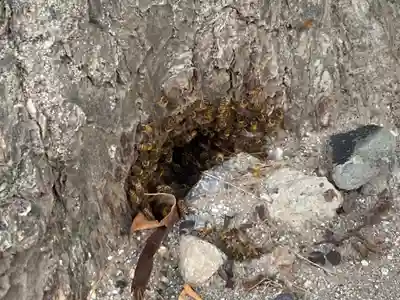 上高野神社(埼玉県)