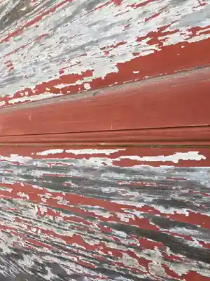 浄土寺の本殿・本堂