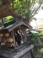 海南神社の本殿・本堂