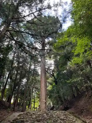 元伊勢内宮 皇大神社(京都府)