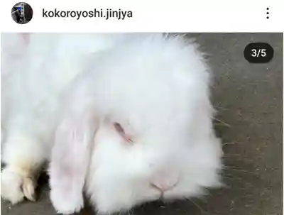 快神社(徳島県)