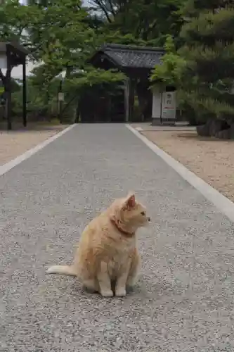 百済寺(滋賀県)