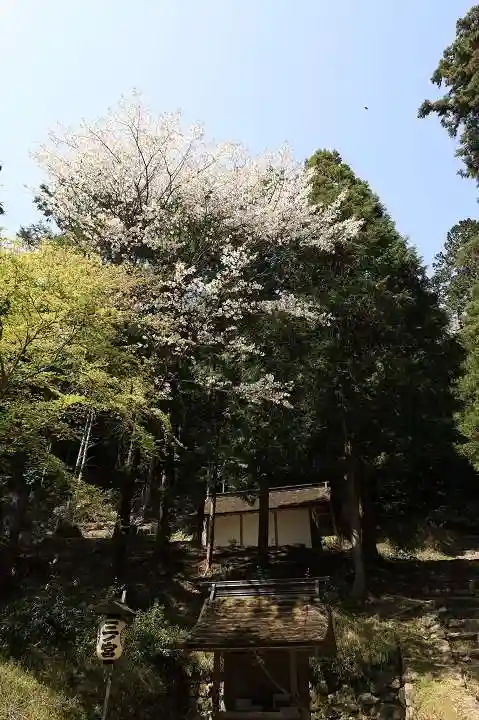 日吉大社(滋賀県)