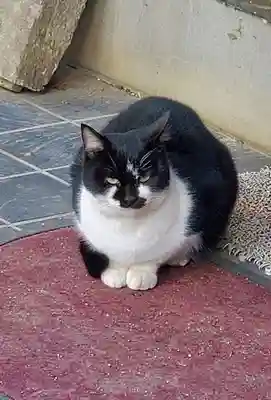 愛宕神社(福島県)