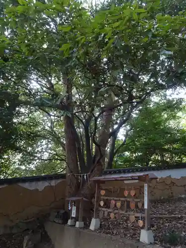 鶴崎神社(岡山県)