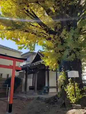 稼穡稲荷社(東京都)