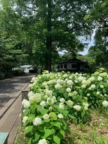 玉敷神社の庭園