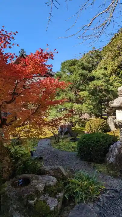 くろ谷 金戒光明寺(京都府)