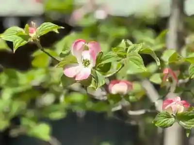 西方山極楽寺(岐阜県)