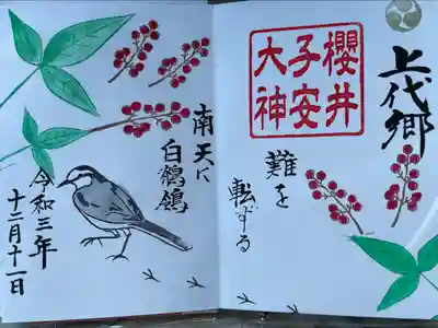 南天に白鶺鴒(ハクセキレイ)