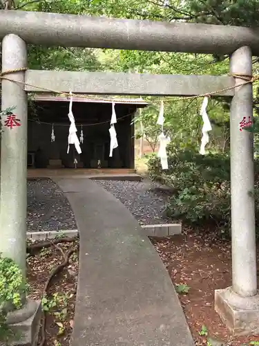 氷川神社の鳥居