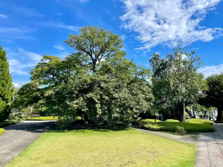 福蔵院(東京都)