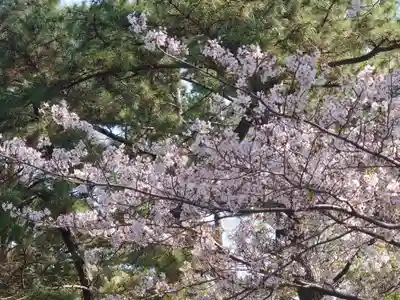 鶴嶺八幡宮(神奈川県)