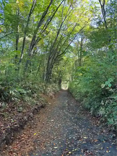 戸隠神社火之御子社(長野県)