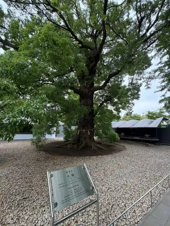 上野東照宮の{uncategorized: "未分類", other: "その他", undefined: "問題あり", building: "その他建物", grave: "お墓", sacred_gate: "鳥居", guardian: "狛犬", statue: "像", buddha: "仏像", history: "歴史", nature: "自然", garden: "庭園", animal: "動物", pagoda: "塔", temizu: "手水舎", mountain_gate: "山門・神門", sanctuary: "本殿・本堂", subordinate: "末社・摂社", art: "芸術", scenery: "景色", jizo: "地蔵", ema: "絵馬", goshuin: "御朱印", omikuji: "おみくじ", items: "授与品その他", amulet: "お守り", goshuincho: "御朱印帳", eats: "食事", festival: "お祭り", votive_dance: "神楽", shichigosan: "七五三参", wedding: "結婚式", experience: "体験その他", initially: "初詣", around: "周辺", anti_infection: "感染症対策"}