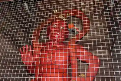 岩殿山安楽寺（吉見観音）(埼玉県)