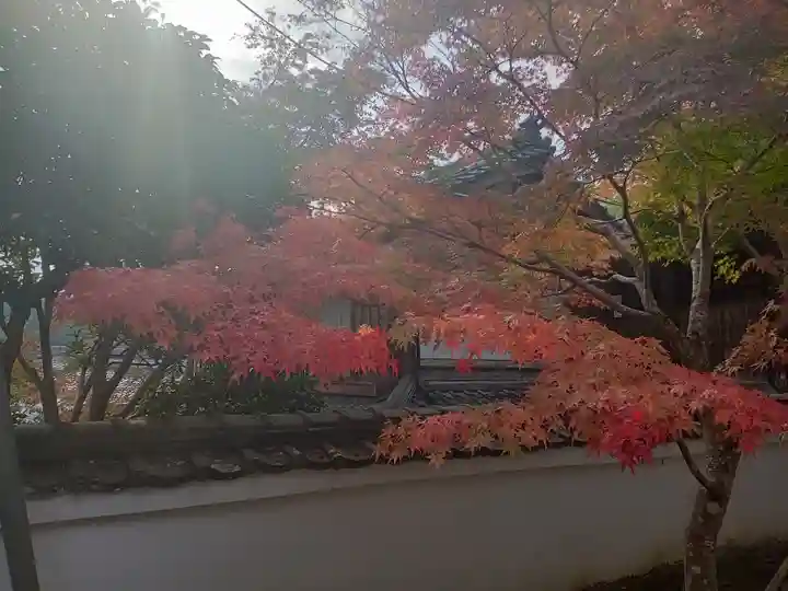 神峯山寺(大阪府)