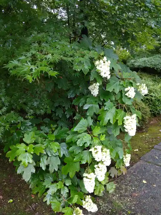 将軍塚青龍殿(青蓮院門跡)(京都府)