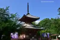 喜多院(埼玉県)