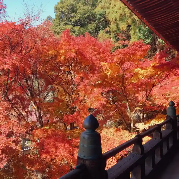 播州清水寺の自然