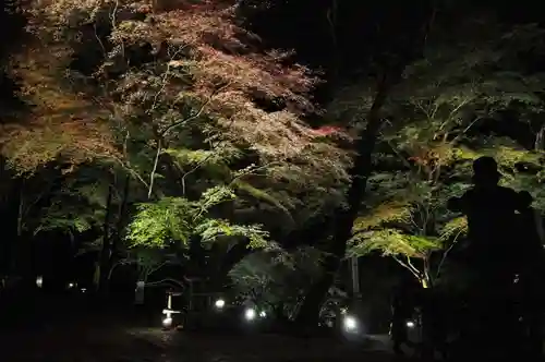 室生寺の自然