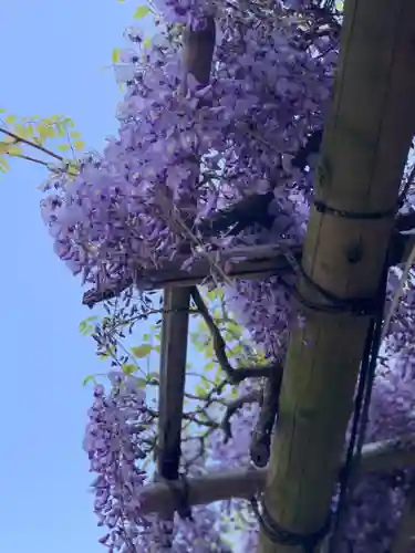 楽法寺（雨引観音）の自然