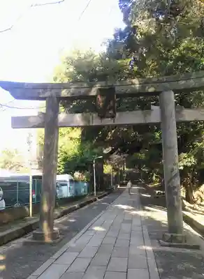 渋谷氷川神社の鳥居