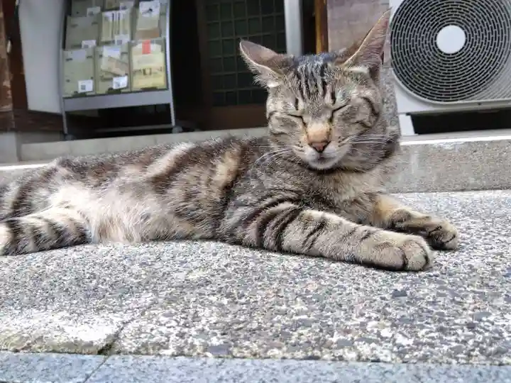 御誕生寺(猫寺)(福井県)