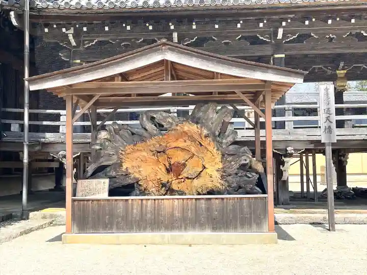 本山専修寺(三重県)