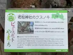 老松神社の建物その他