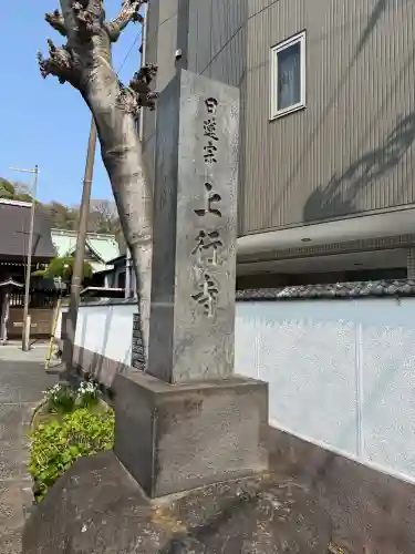上行寺の{uncategorized: "未分類", other: "その他", undefined: "問題あり", building: "その他建物", grave: "お墓", sacred_gate: "鳥居", guardian: "狛犬", statue: "像", buddha: "仏像", history: "歴史", nature: "自然", garden: "庭園", animal: "動物", pagoda: "塔", temizu: "手水舎", mountain_gate: "山門・神門", sanctuary: "本殿・本堂", subordinate: "末社・摂社", art: "芸術", scenery: "景色", jizo: "地蔵", ema: "絵馬", goshuin: "御朱印", omikuji: "おみくじ", items: "授与品その他", amulet: "お守り", goshuincho: "御朱印帳", eats: "食事", festival: "お祭り", votive_dance: "神楽", shichigosan: "七五三参", wedding: "結婚式", experience: "体験その他", initially: "初詣", around: "周辺", anti_infection: "感染症対策"}
