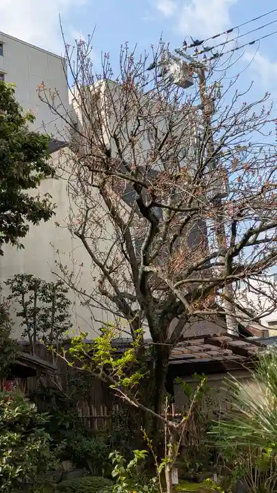 宝蔵寺(京都府)