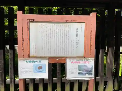 甲斐國一宮 浅間神社(山梨県)