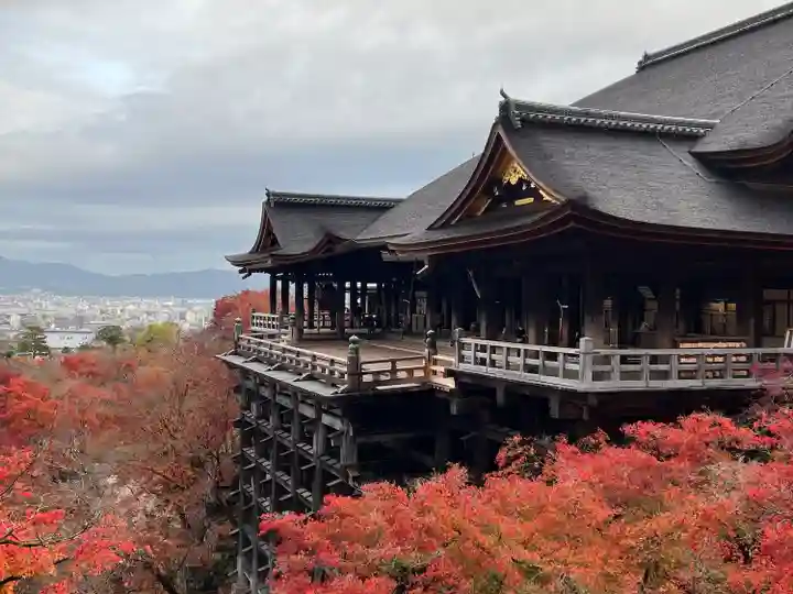清水寺(京都府)
