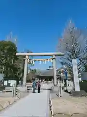 浅草神社の鳥居