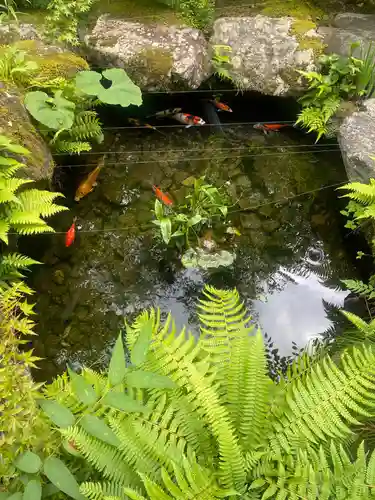 徳善院明王密寺(福島県)