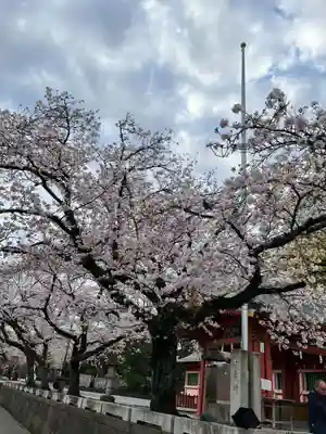 富士山本宮浅間大社(静岡県)