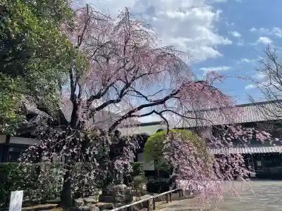 吉祥寺(東京都)